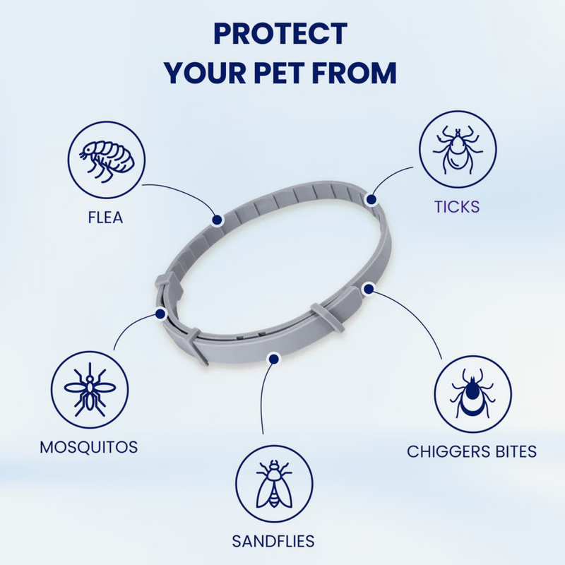 Adjustable Collars for All !