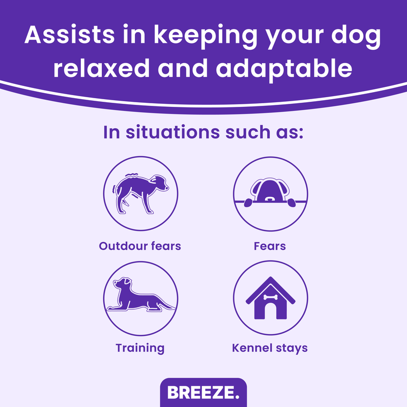Breeze PURESHIELD™ Calming Collar