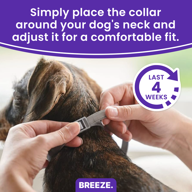 Breeze PURESHIELD™ Calming Collar