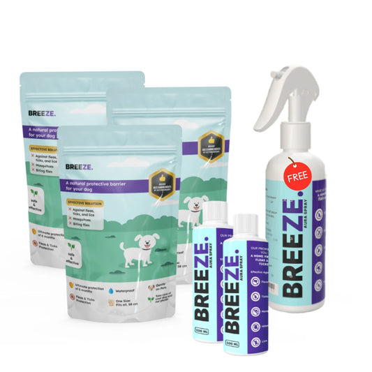 3× Bestseller Dog