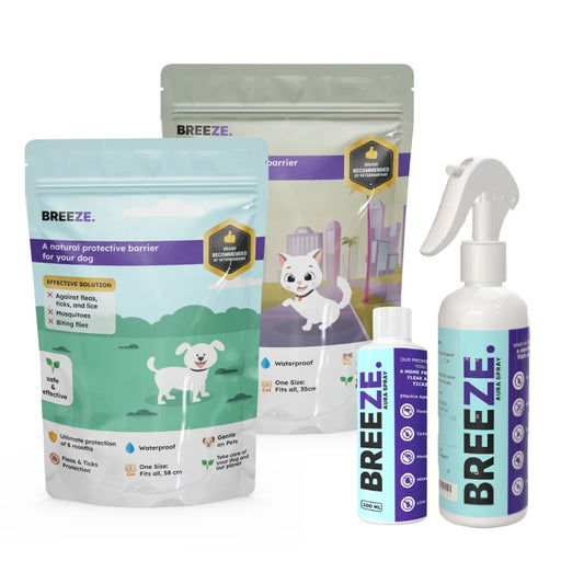 Combo Starter Multi Pet