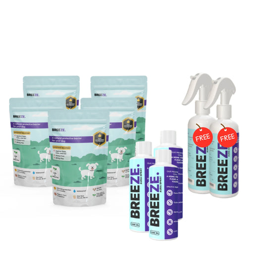 5× Best Value Dog