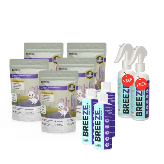 5× Best Value Cat