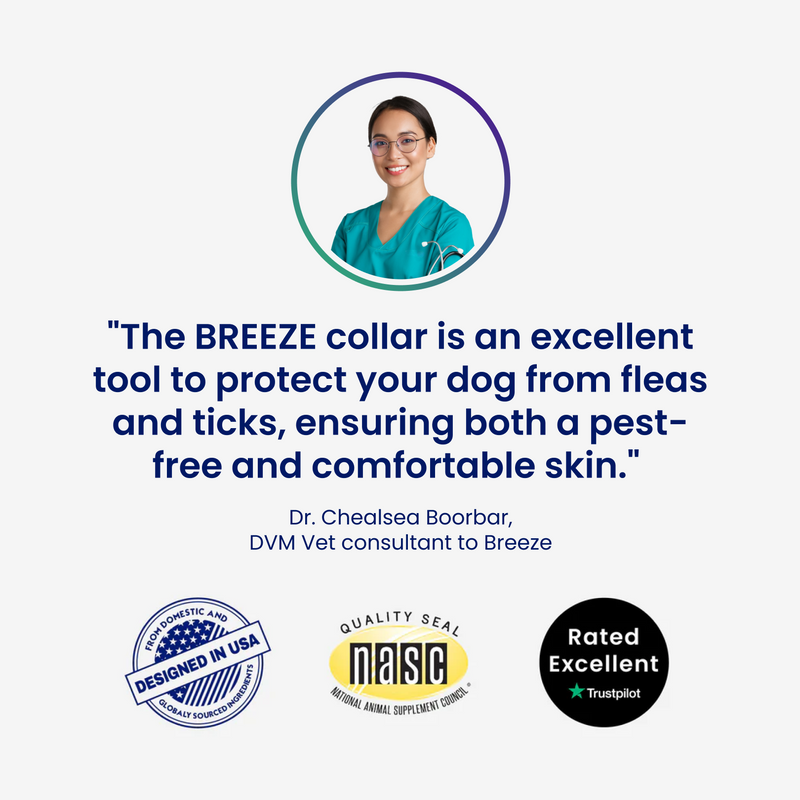 Adjustable Collars for All !