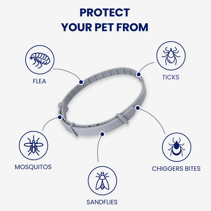 Adjustable Collars for All !