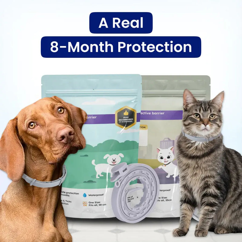 Adjustable Collars for All !
