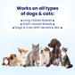 2x Breeze PURESHIELD™  Dog Collar