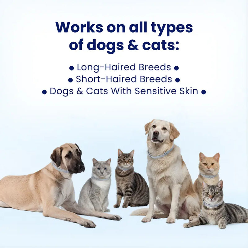 Adjustable Collars for All !