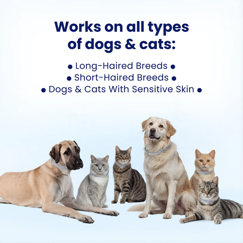 Adjustable Collars for All !