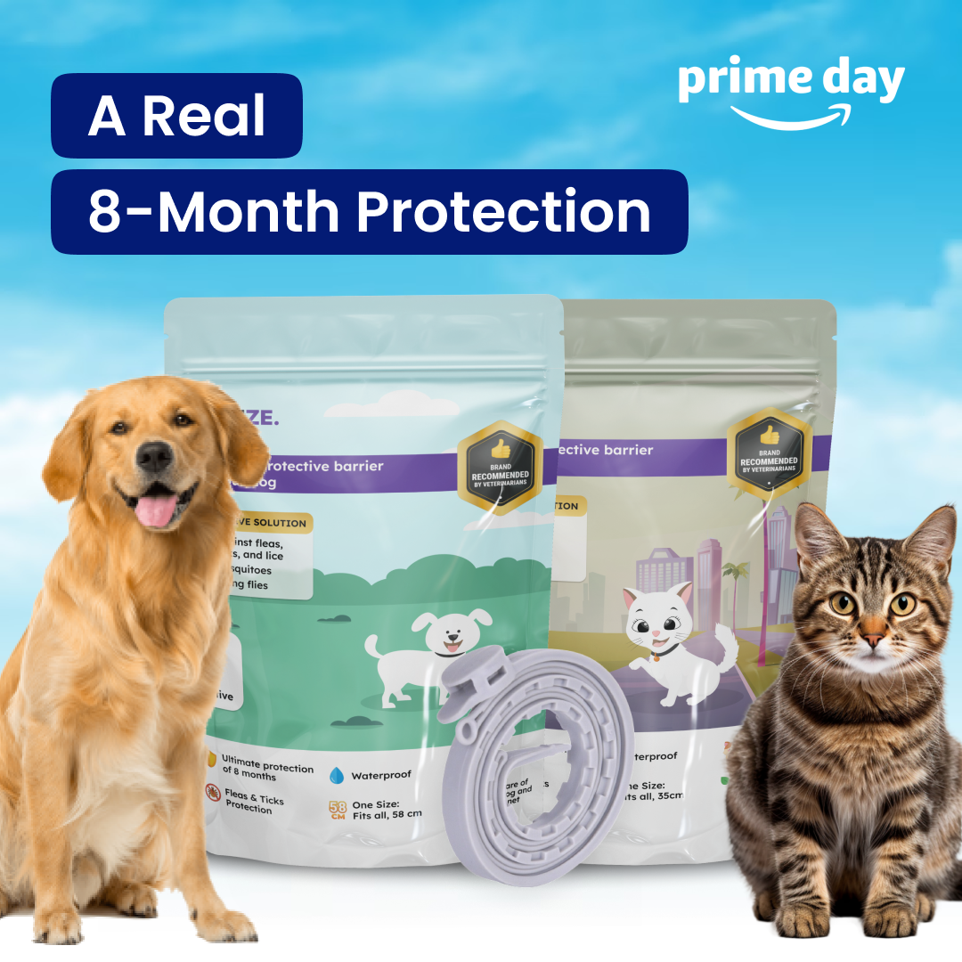 2X Breeze Aura-Shield Cat Collar ™