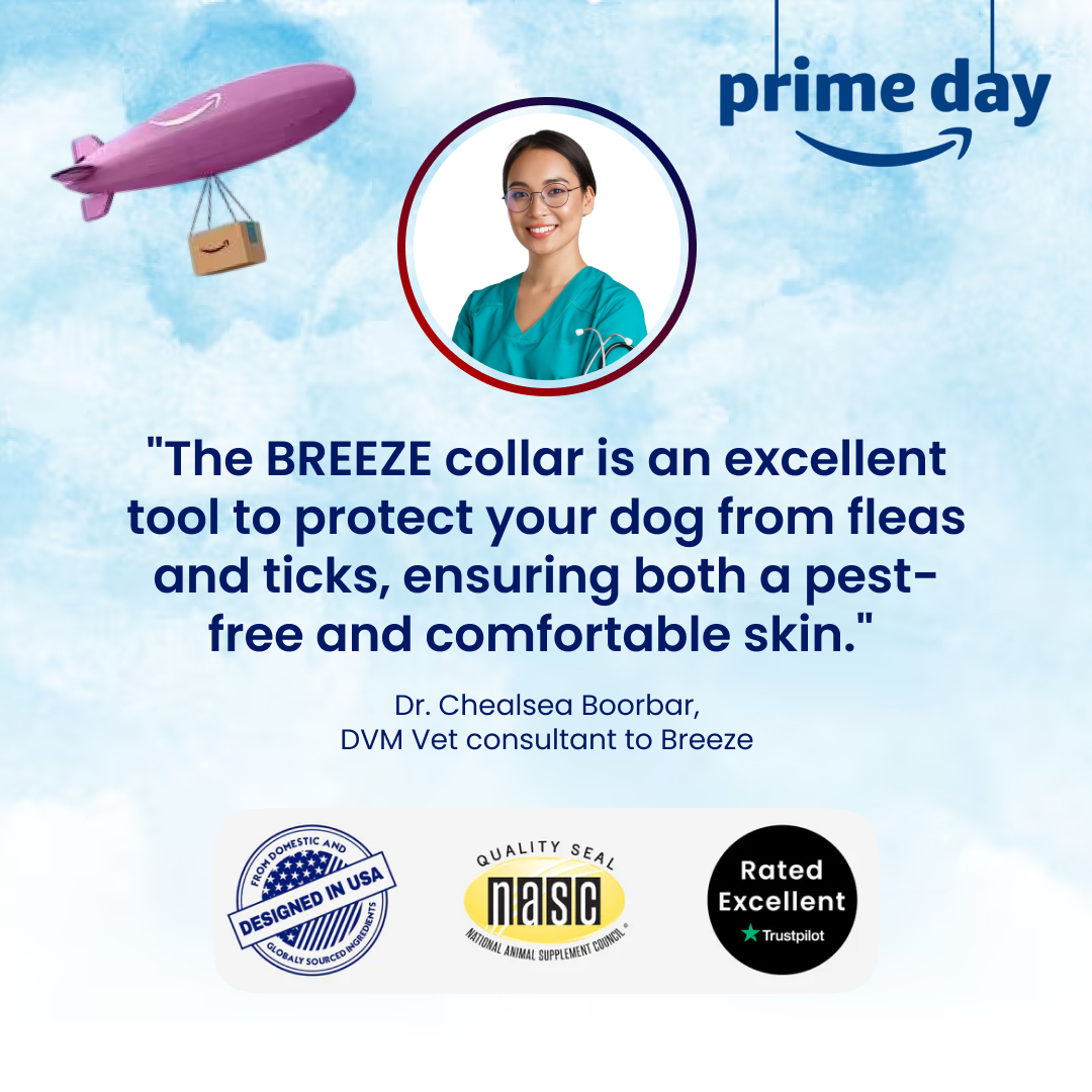 2X Breeze Aura-Shield Cat Collar ™