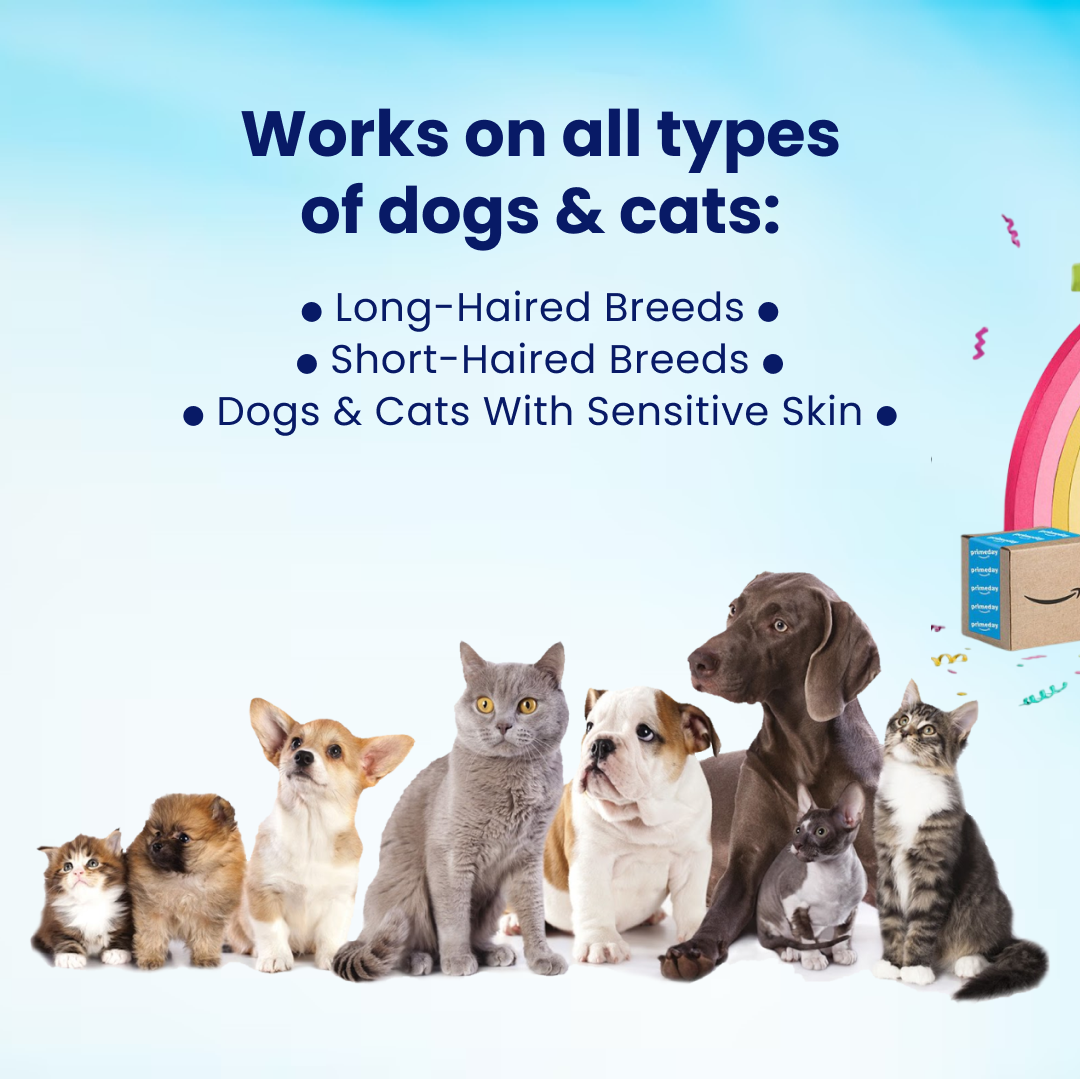 2X Breeze Aura-Shield Cat Collar ™