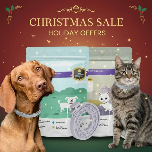 Adjustable Collars for All ! - Christmas Special