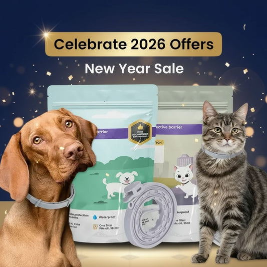 Adjustable Collars for All ! - New Year Special