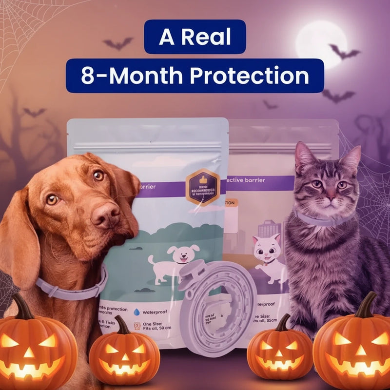 Adjustable Collars for All ! - Halloween special