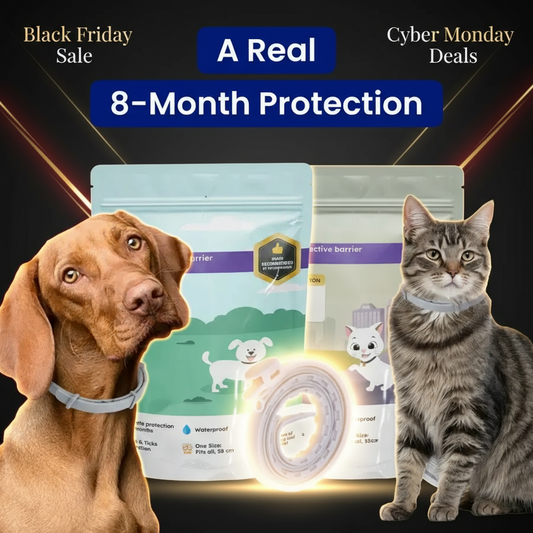 Adjustable Collars for All ! - BlackFriday Special
