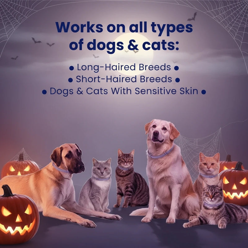 Adjustable Collars for All ! - Halloween special