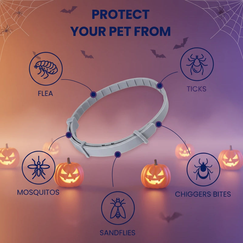 Adjustable Collars for All ! - Halloween special