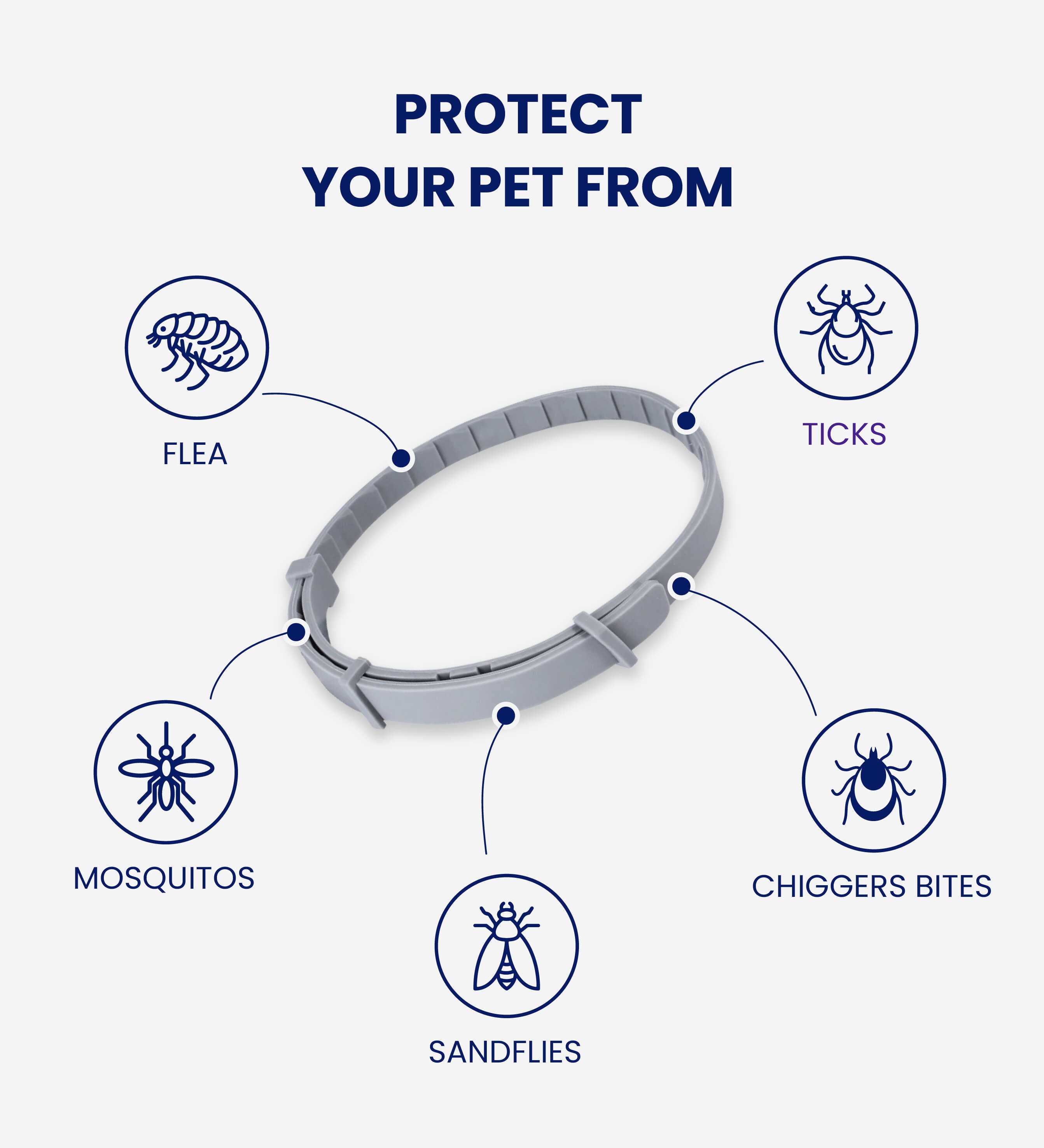 Flea collar coupons best sale